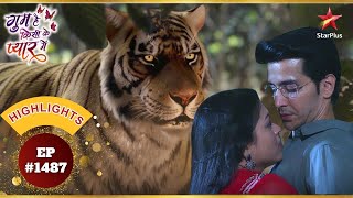 Neil And Tejaswini Vs Tiger  Ep1487  Highlights  Ghum Hai Kisikey Pyaar Meiin  MonSun  8PM [upl. by Innos957]