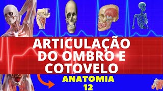 ARTICULAÇÃO DO OMBRO E COTOVELO  ARTICULAÇÕES DO MEMBROS SUPERIORES [upl. by Nahte642]