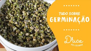 Como germinar e consumir germinados  Drica na Cozinha [upl. by Nerfe]