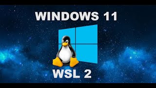 Windows 11 con Linux  che senso ha la WSL 2 Windows Subsystem for Linux [upl. by Sheehan]