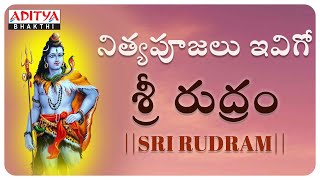 Sri Rudram Popular Vedic Chantings with Telugu Lyrics  Lord Shiva Special Songs  Powerful Mantra [upl. by Melodie]