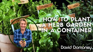 How to plant a herb garden container [upl. by Germana29]