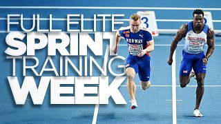 Elite Sprint Training Week  Road To 20 ³ [upl. by Loraine]