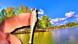 How To Catch Loads Of Crappie This Fall Crappie Fishing 2024 [upl. by Notserp685]