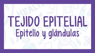 TEJIDO EPITELIAL  ¡Fácil explicación Histología [upl. by Enoek311]