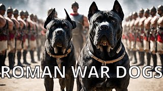 Canix Pugnax Romes MOST DANGEROUS War Dogs [upl. by Noied]