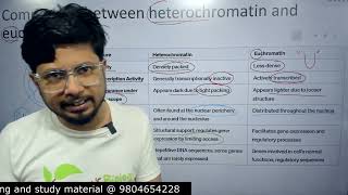 Euchromatin vs heterochromatin  heterochromatin and euchromatin difference [upl. by Odranar]