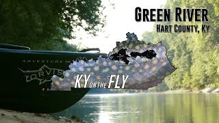 Green River Float amp Fly Fishing [upl. by Nosde496]