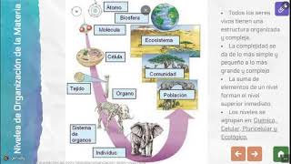 Niveles de Organización de la Materia Viva [upl. by Seedman]