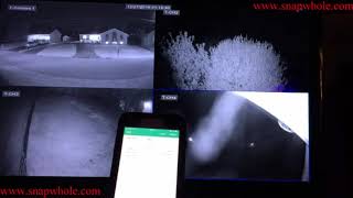 Harbor Freight Cobra 8 Camera Surveillance System  New App Client How to Use on Security System [upl. by Teteak]