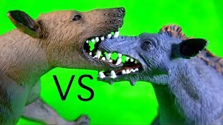 FIGHT BATTLE Entelodont Daeodon VS Hyaenodon Gigas REMATCH PREHISTORIC ANIMALS Who will win [upl. by Chandra]