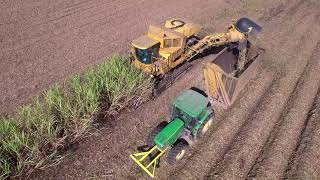 Cameco 2 Row Sugarcane Harvester 4K video [upl. by Morell462]