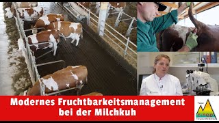 Modernes Fruchtbarkeitsmanagement bei der Milchkuh [upl. by Llenral]