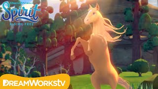 The Mysterious New Horseor Unicorn  SPIRIT RIDING FREE  Netflix [upl. by Cheslie51]