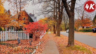 Peaceful Canadian Neighborhood Morning Walk  Beautiful Autumn Ambience  Sound for Sleep and Study [upl. by Byran987]