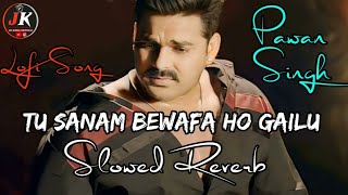 Tu Sanam Bewafa Ho Gailu Bhojpuri Sad song  pawansingh  LofiSong  Slowsong  Sadsong [upl. by Nairadas]