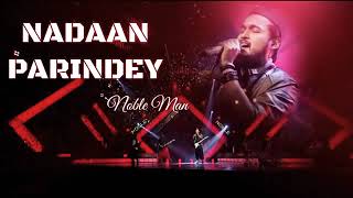 NADAAN PARINDEY  Noble song  Noble star [upl. by Kurland]