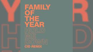 Family of the Year  Hold Me Down CID Remix [upl. by Nomolas]