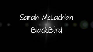 Blackbird Sarah McLachlan  Lyrics [upl. by Aniroz]