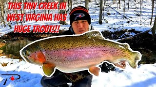 This Tiny Creek In West Virginia Has Huge Trout [upl. by Murray]