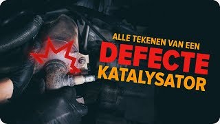 Hoe u de katalysator kunt inspecteren  Tips van AUTODOC [upl. by Olegnaleahcim]