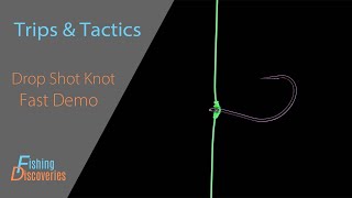 How to Tie a Dropshot Knot Like a Tournament Angler [upl. by Luiza]