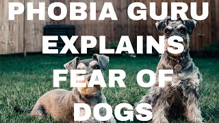 Phobia Guru explains the Fear of Dogs known as ​Cynophobia [upl. by Aksehcnarf]