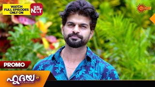 Hridhayam  Promo  19 Nov 2024  Surya TV Serial [upl. by Cirilla]