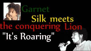 Garnet Silk  Its Roaring [upl. by Thornburg225]