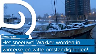 Het sneeuwt Wakker worden in een wit Rotterdam [upl. by Drarreg]