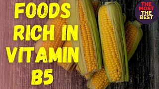 Top 10 foods rich in vitamin B5 Pantothenic Acid [upl. by Ardekan949]