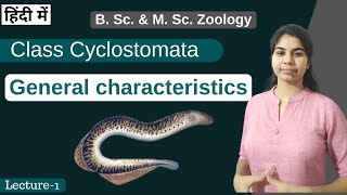 Class Cyclostomata  general characteristics  In Hindi  B Sc amp M Sc  Zoology [upl. by Gibb]