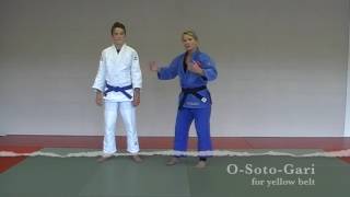 Judo Techniques for Belt Promotion  Yellow Belt [upl. by Yde140]