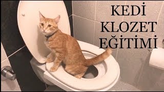 Kedi Tuvalet Klozet Eğitimi  Cat Toilet Training CitiKitty [upl. by Ultima]