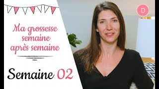 2ème semaine de grossesse – Le test de grossesse [upl. by Cavan]