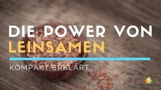 Die Power von Leinsamen  Kompakt erklärt [upl. by Atteiram]