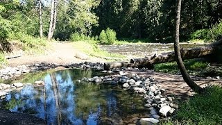 McCredie Hot Springs amp Salt Creek  Oregon Cascades [upl. by Neelsaj]