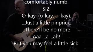 Comfortably numb Pink Floyd backing track without guitar solo karaoke lyrics [upl. by Liane572]