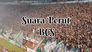 Enak sekali Chant Baru BCS  PSS Sleman vs Borneo  Semifinal Piala Presiden 2022 [upl. by Niddala384]