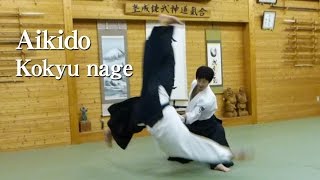 【Aikido】Kokyu Nage‐Shirakawa Ryuji sensei [upl. by Lon]