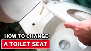 How To Change A Toilet Seat  Ace Hardware [upl. by Peggi]