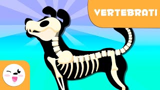 Gli animali vertebrati per bambini  Introduzione [upl. by Beker37]