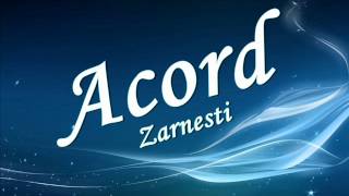 Formatia Acord Zarnesti sarba [upl. by Netsreik]