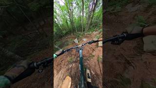 Nothing like fresh cut enduro trails mountainbike mtb [upl. by Doti]