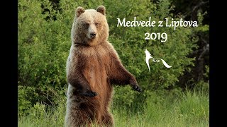 Medvede z Liptova [upl. by Lanti]