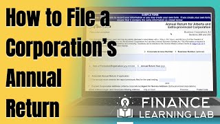 How to file an annual return Step by step for a Canadian corporation [upl. by Pathe]