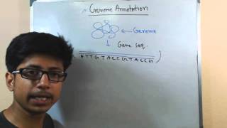 Genome annotation [upl. by Boni]