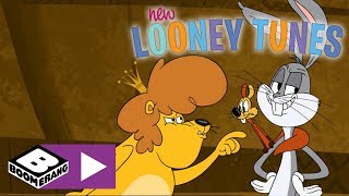 New Looney Tunes  What Is That Heavenly Smell  Boomerang UK [upl. by Ikkiv]