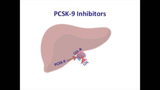 Mechanism of action of PCSK 9 inhibitors [upl. by Aoket]