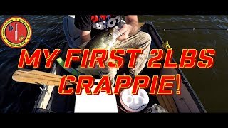 Alamo Lake Fishing Crappie and Bass 2 11 2018 [upl. by Denoting]